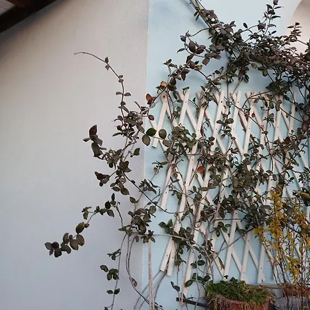 Apartament Athina Saloniki